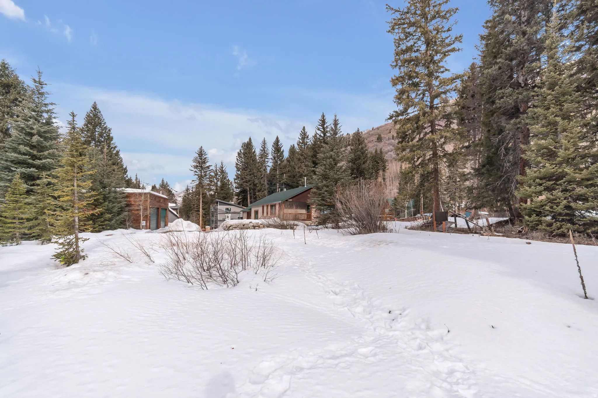 Snowy yard featuring view of scattered trees