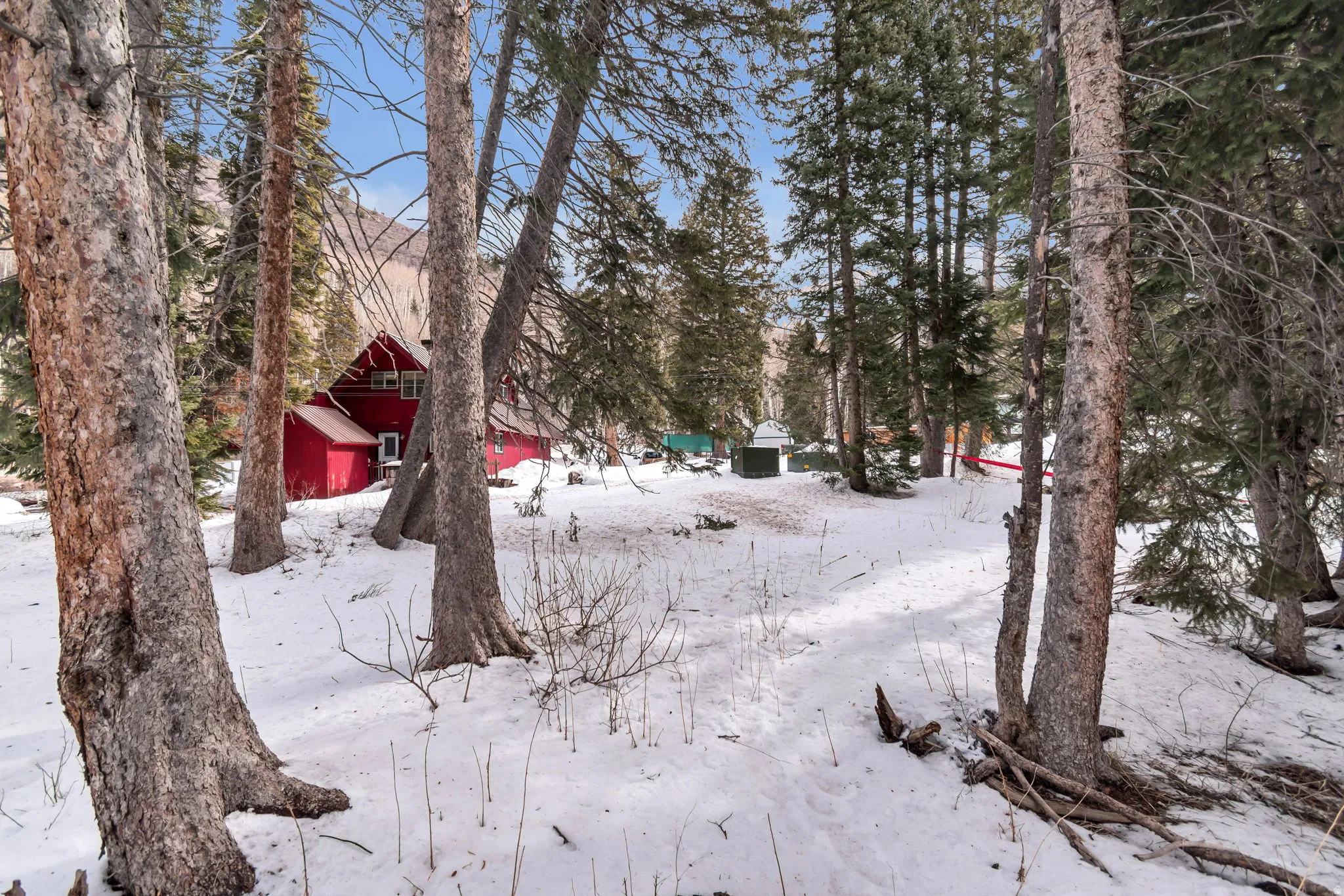 Yard covered in snow with view of wooded area