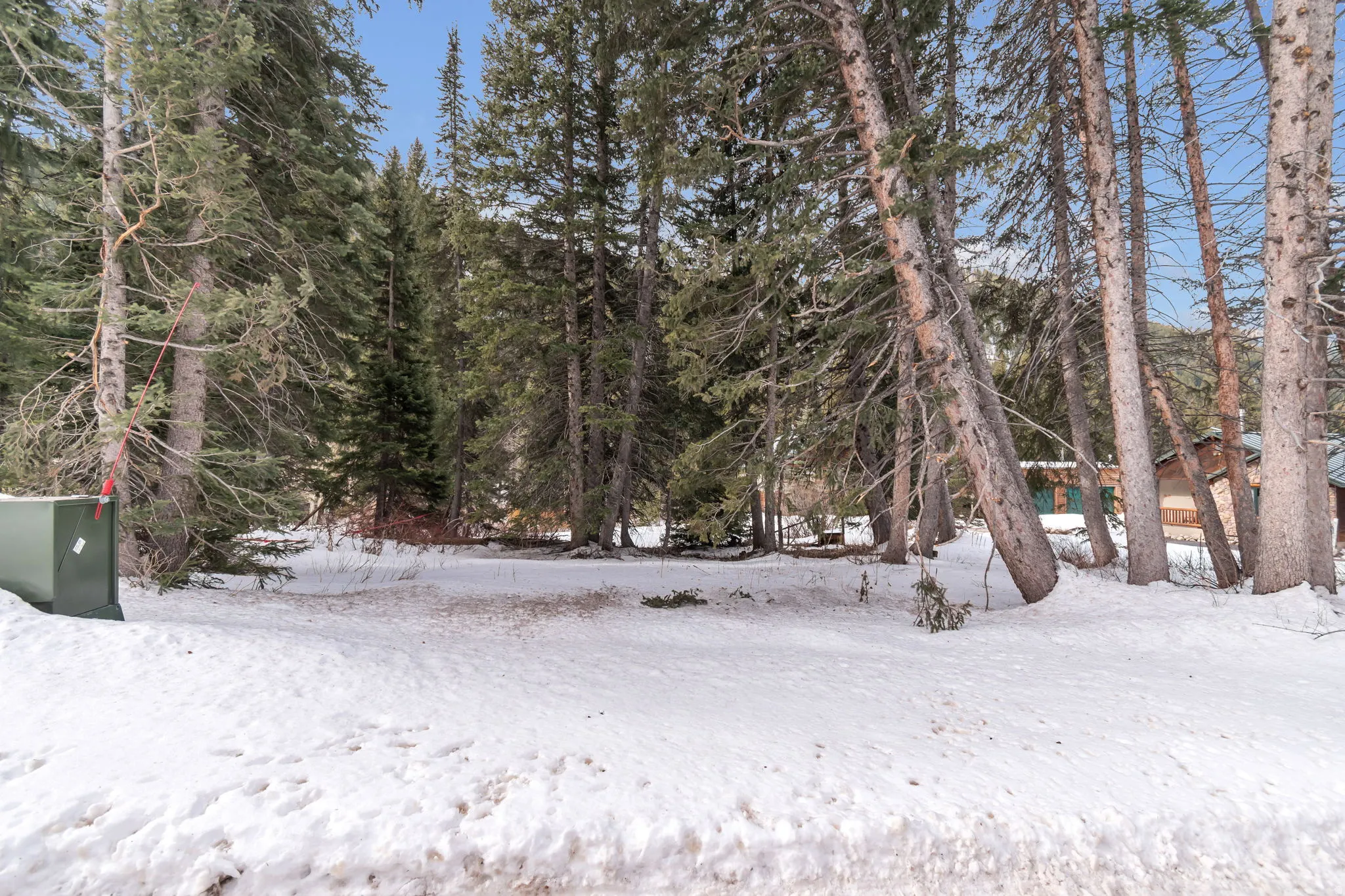 View of yard covered in snow