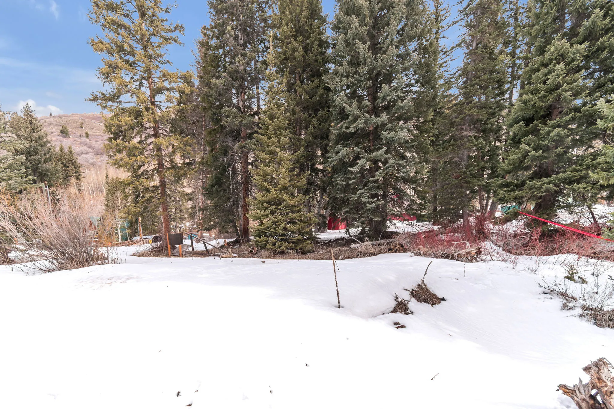 View of yard covered in snow