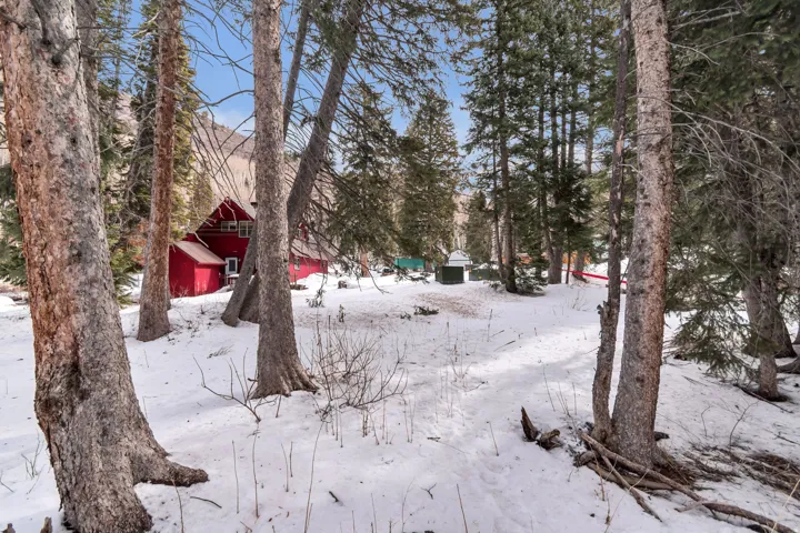 Yard covered in snow with view of wooded area