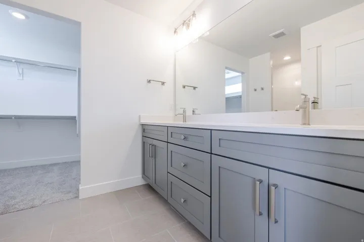 Dual vanity with gray cabinetry, brushed nickel hardware, and a light-toned countertop