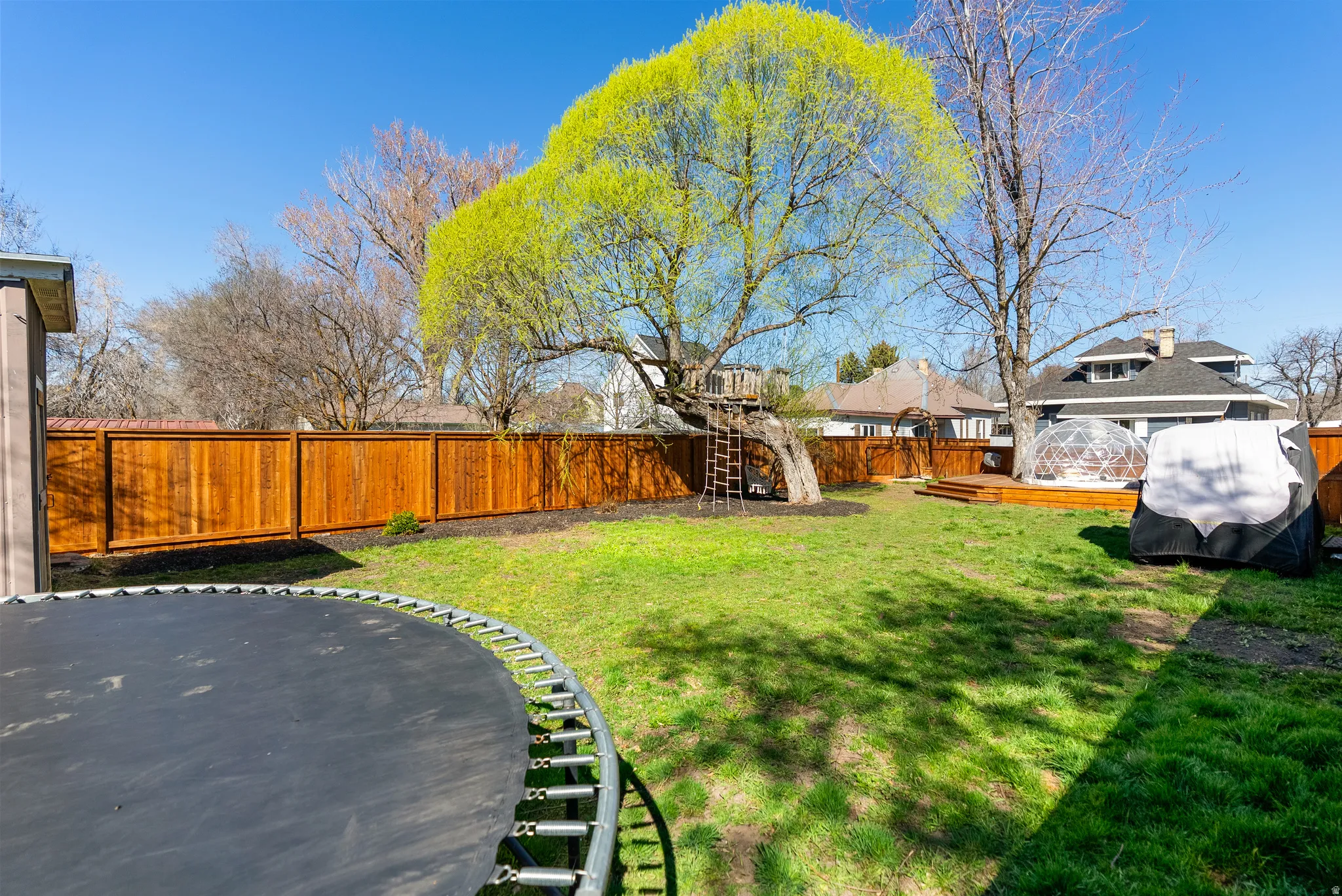 View of fenced backyard