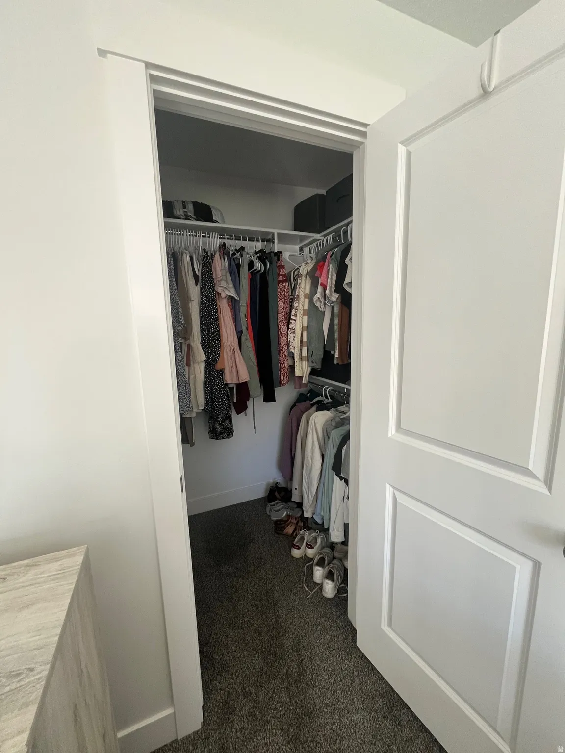 Walk in closet with dark carpet