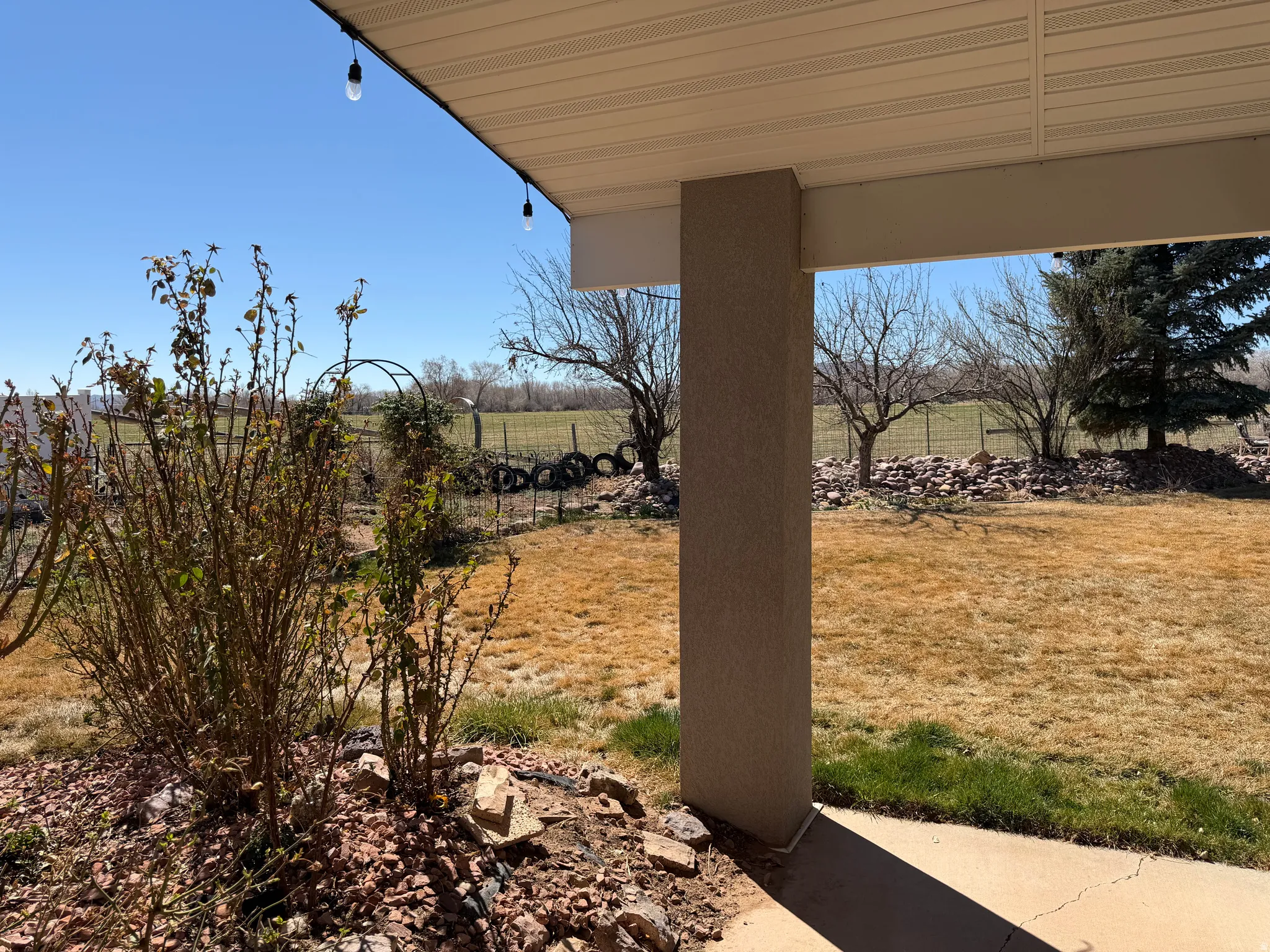 View of yard with a patio area