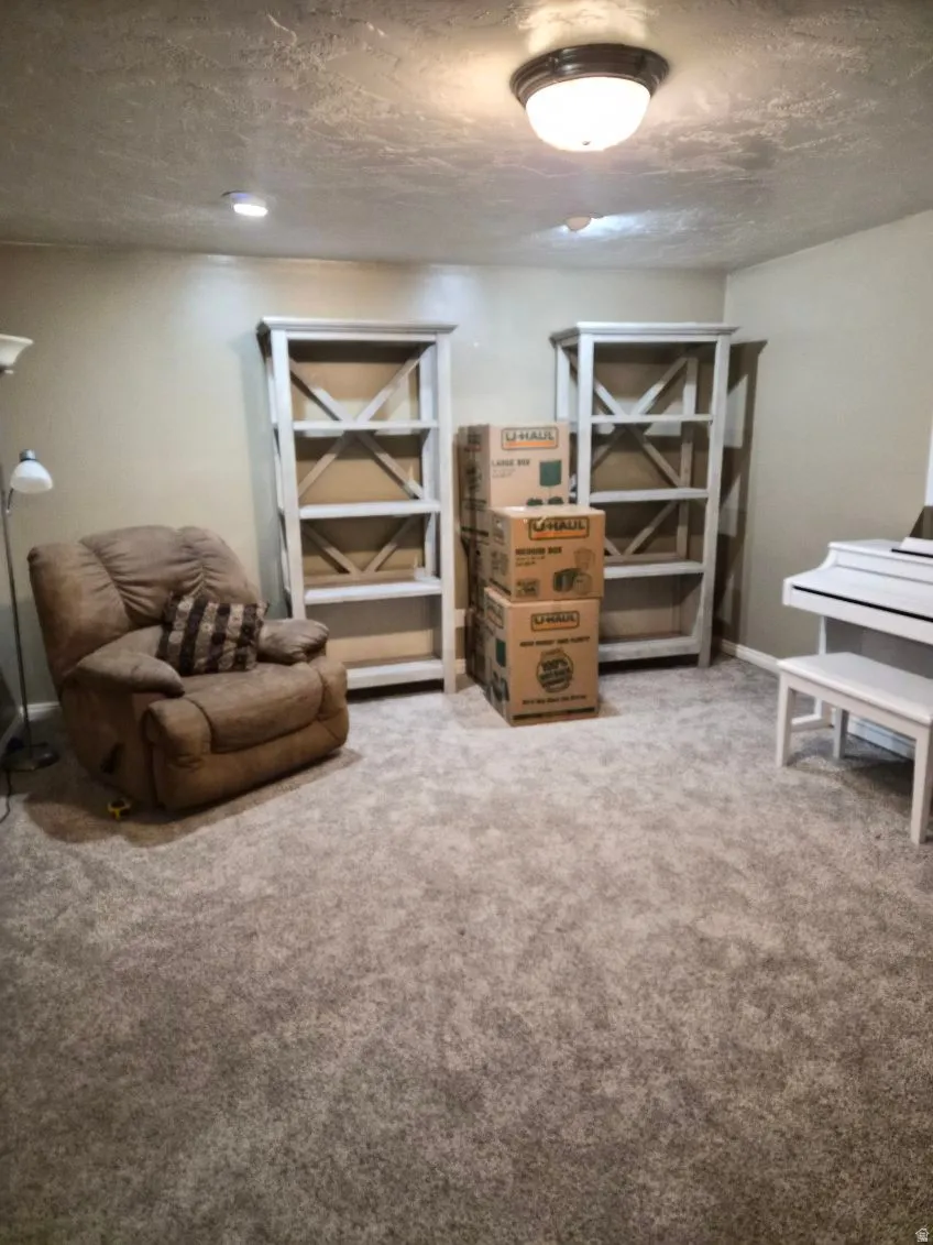 Living area with carpet flooring and a textured ceiling