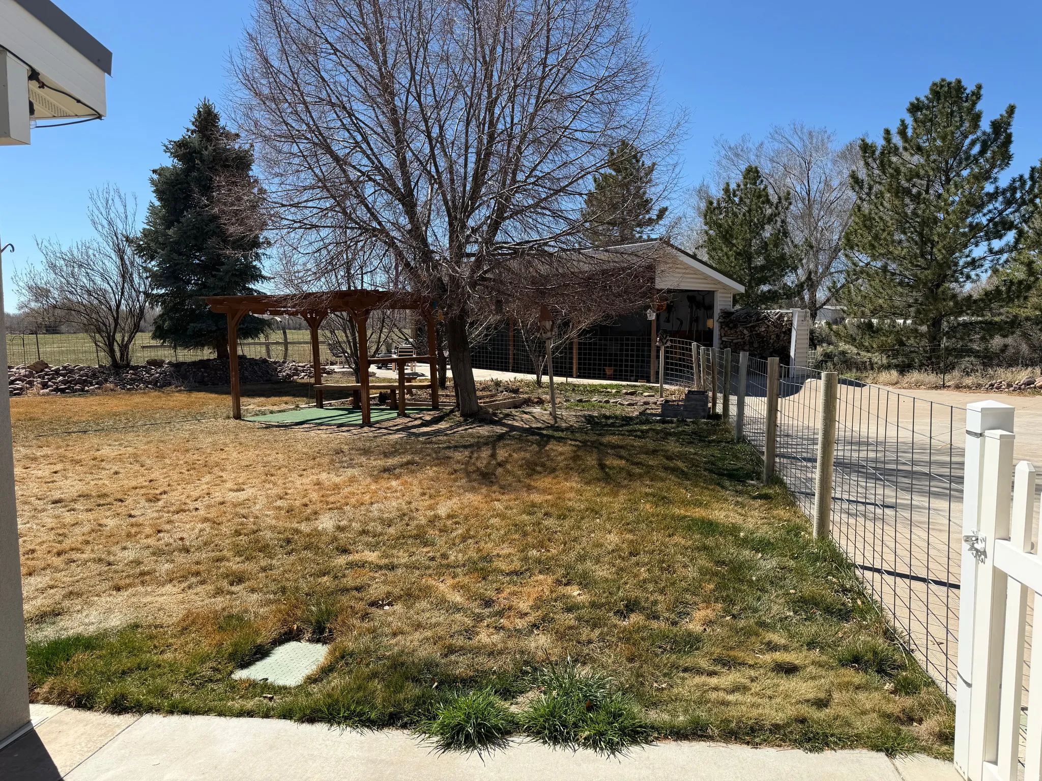 View of yard featuring a patio