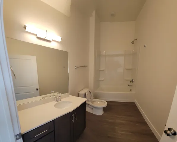 Full bath with vanity and a shower