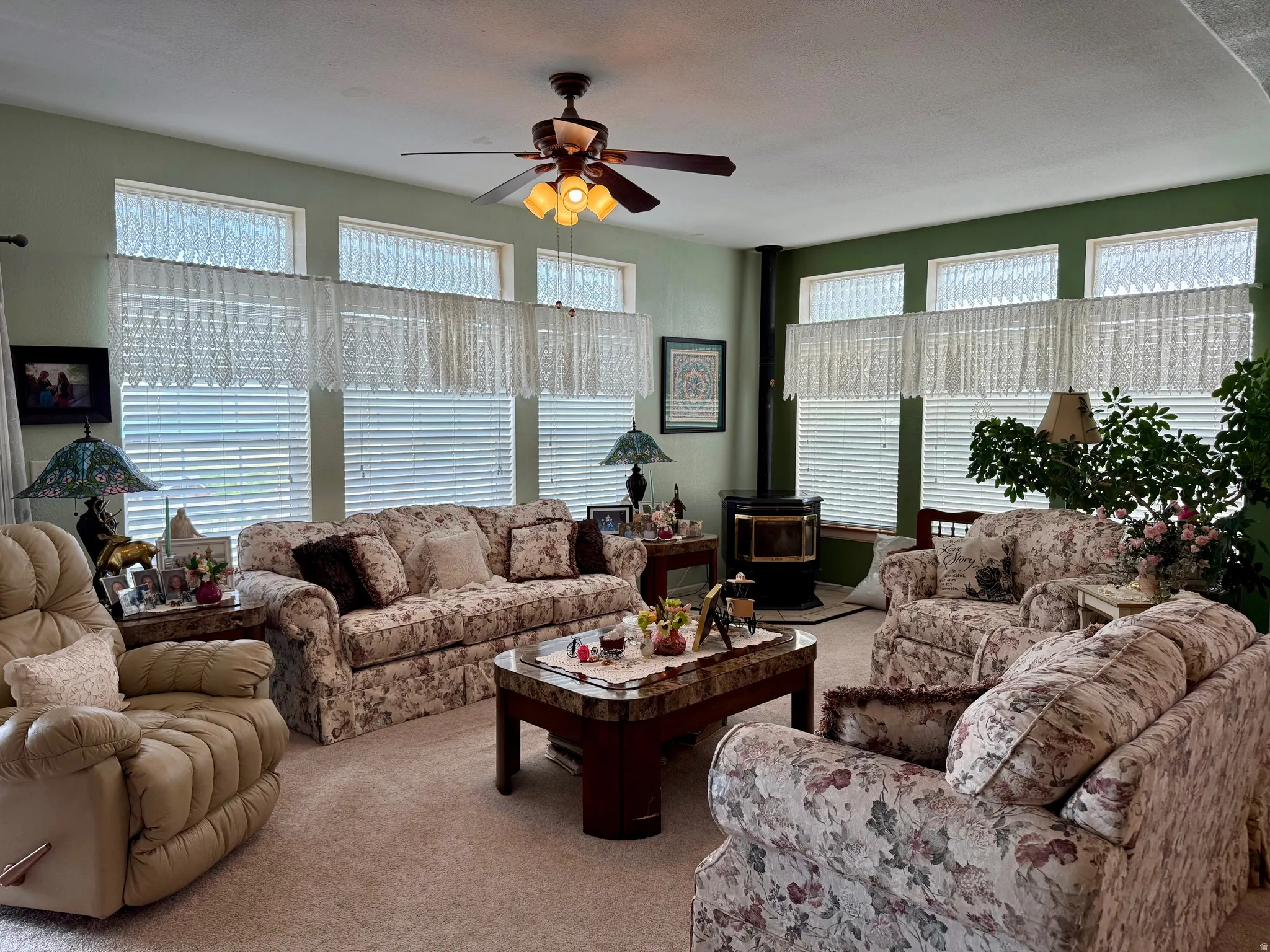 Living area with a stove, ceiling fan, and carpet