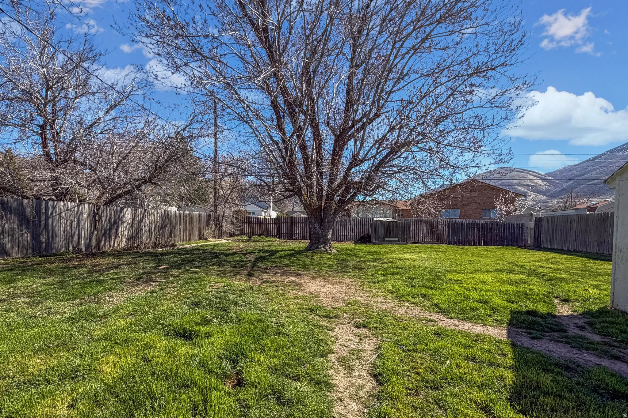 View of fenced backyard