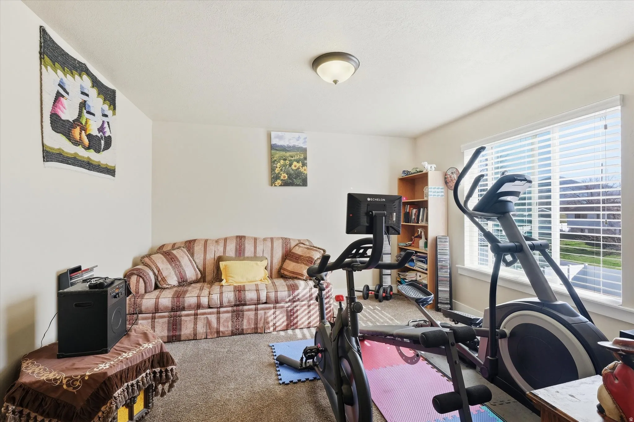 Exercise room featuring carpet floors