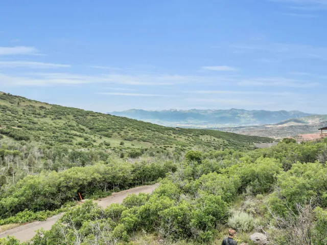 View of mountain background