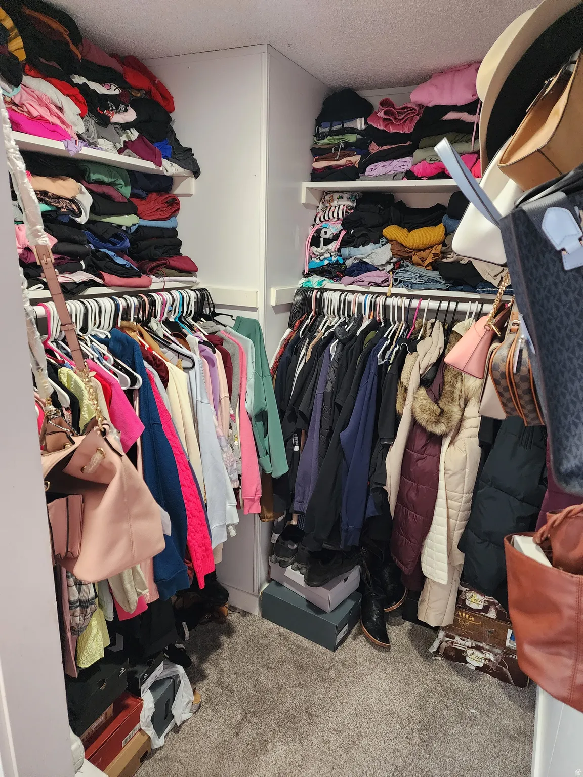 Walk in closet with carpet