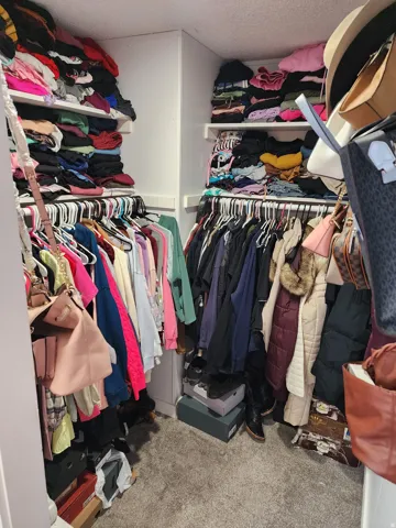 Walk in closet with carpet