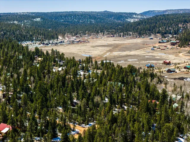 Aerial view of property's location featuring a forest and a mountain backdrop