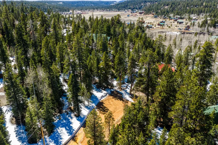 Drone / aerial view of a heavily wooded area