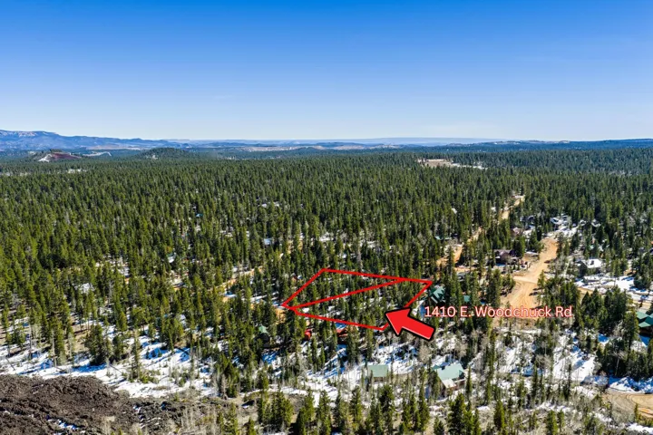 Bird's eye view of a heavily wooded area and a mountainous background