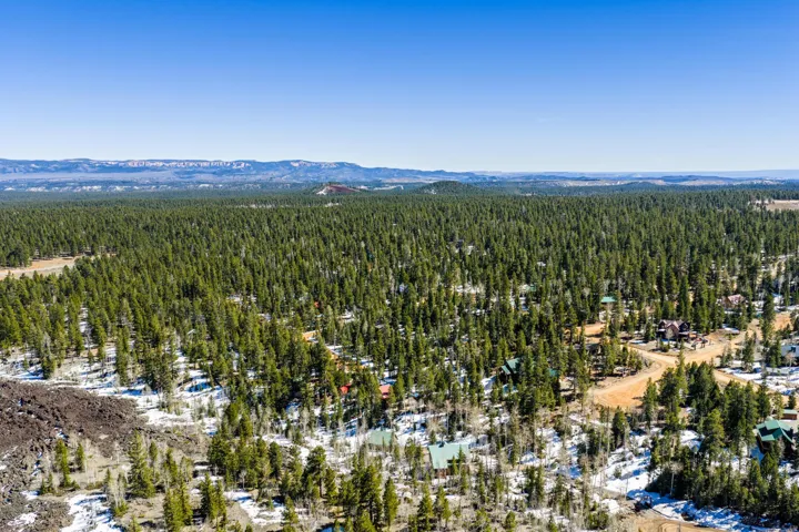 Aerial view of a heavily wooded area and mountains