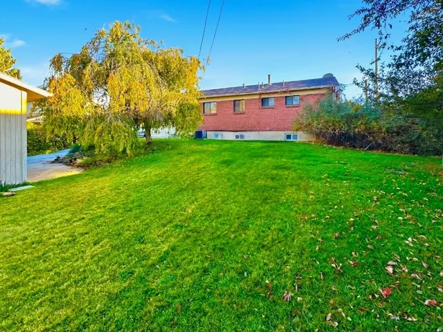 View of green lawn (picture from summer)