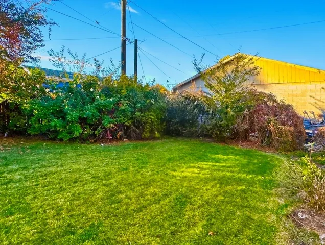 View of green lawn (picture from summer)