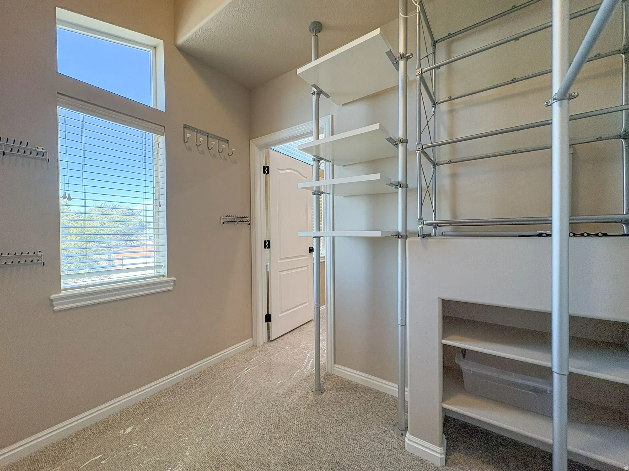 Walk in closet with light colored carpet
