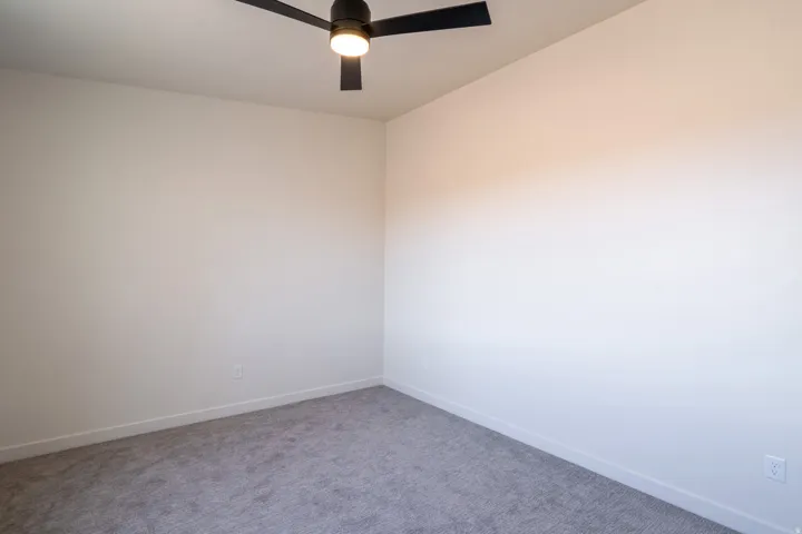 Neutral wall paint