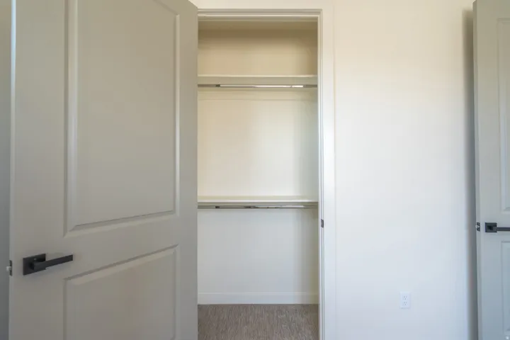 Built-in closet featuring shelving, hanging rods, and carpet flooring