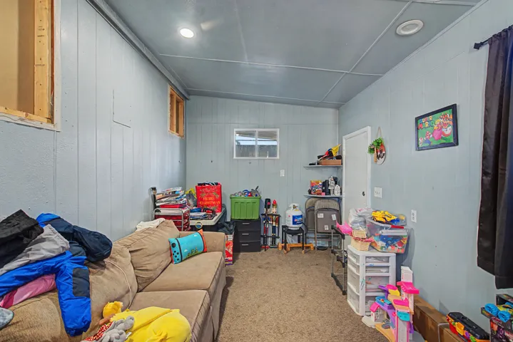 Recreation room featuring carpet and wooden walls