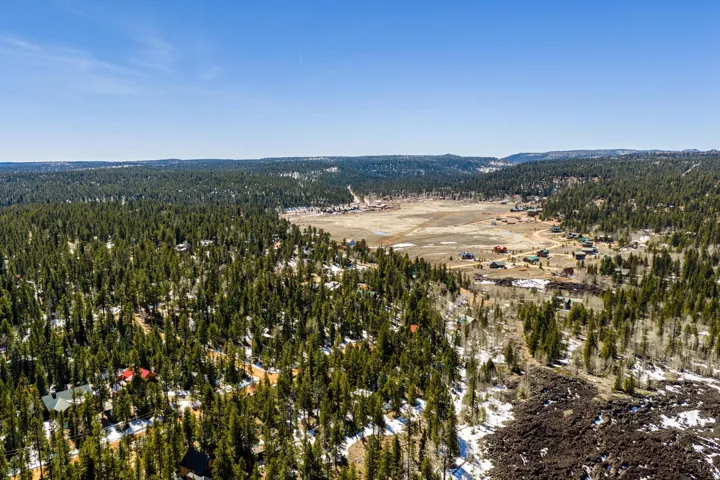 Bird's eye view of a heavily wooded area and mountains