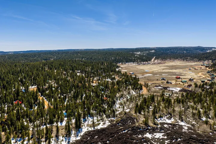 Bird's eye view of a forest