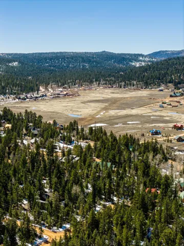Drone / aerial view of a heavily wooded area and mountains