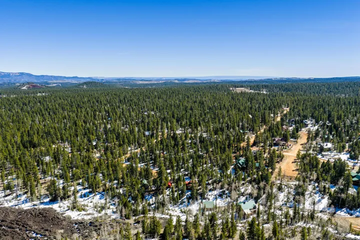 Bird's eye view of a heavily wooded area