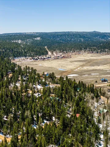 Bird's eye view of a heavily wooded area