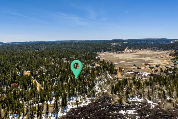 Bird's eye view of a forest