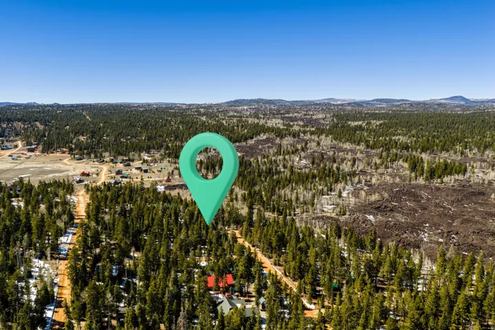 Bird's eye view of a mountainous background and a forest