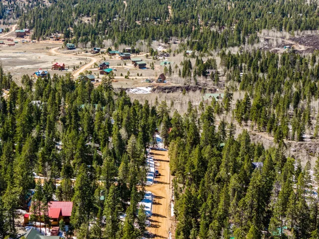 Aerial overview of property's location featuring a forest