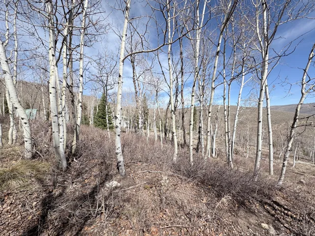 View of nature