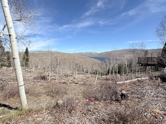 View of mountain background