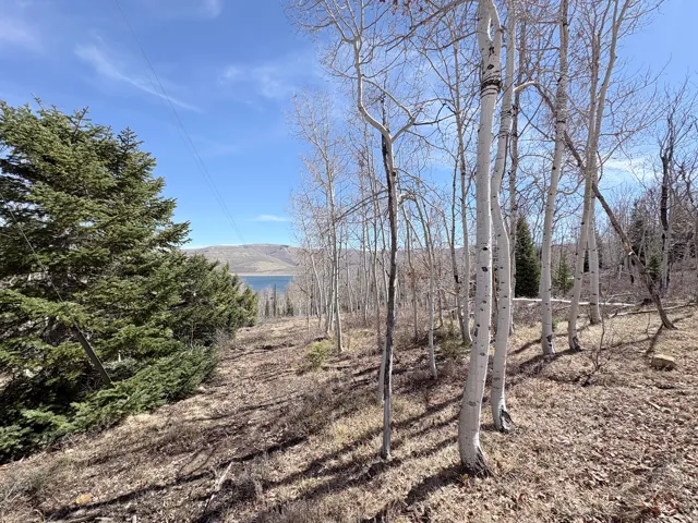 10 Lakeview Dr, Scofield, Utah 84526