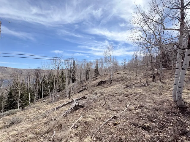 View of nature