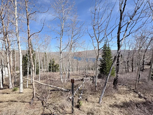 10 Lakeview Dr, Scofield, Utah 84526