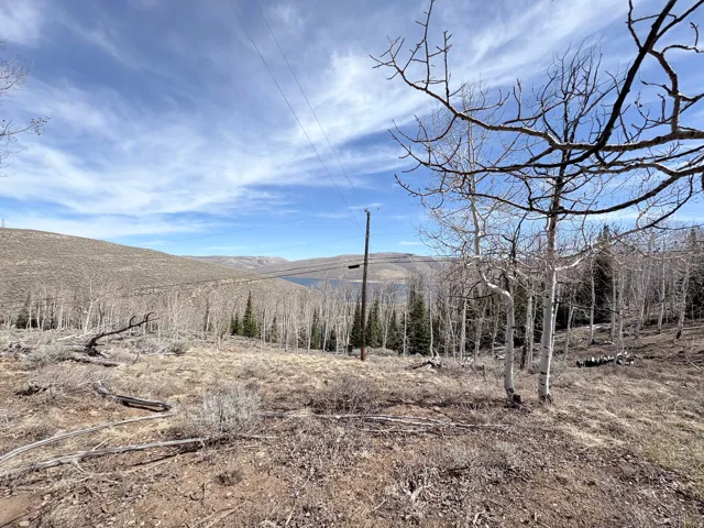 View of mountain background