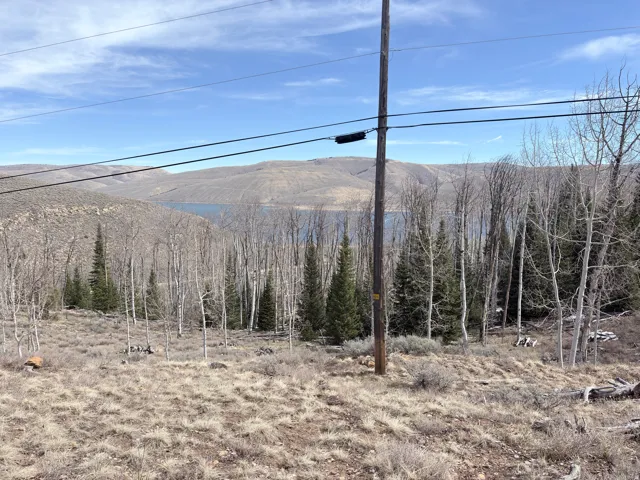 View of mountain background featuring a forest