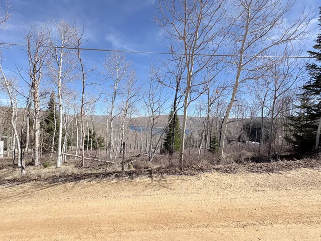 10 Lakeview Dr, Scofield, Utah 84526