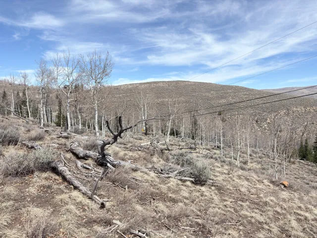 View of mountain backdrop