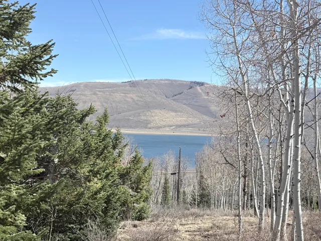 10 Lakeview Dr, Scofield, Utah 84526