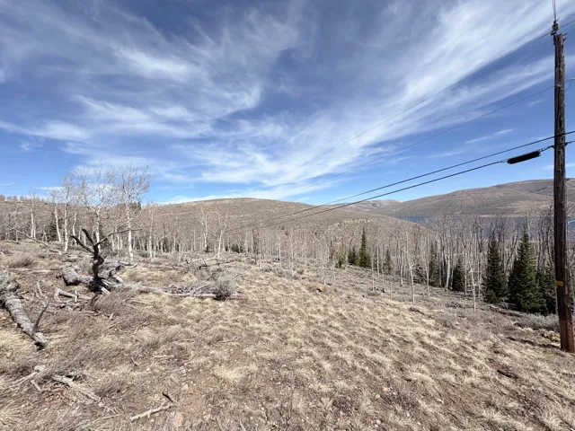 View of mountain background