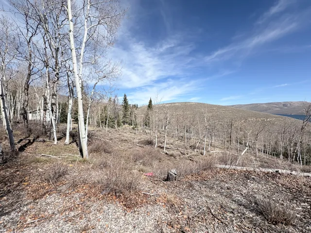 View of undeveloped land