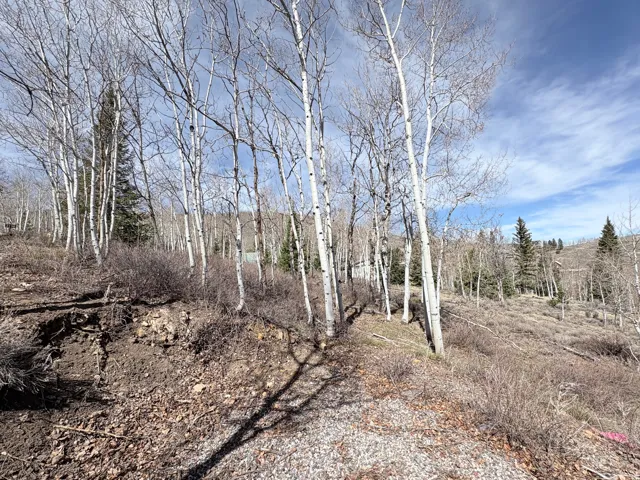 View of undeveloped land