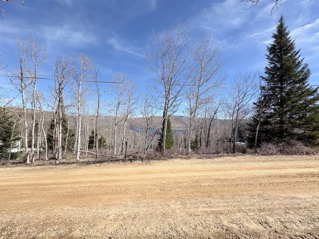 10 Lakeview Dr, Scofield, Utah 84526